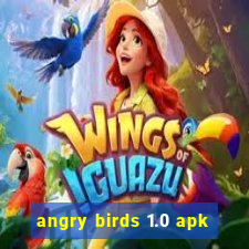 angry birds 1.0 apk